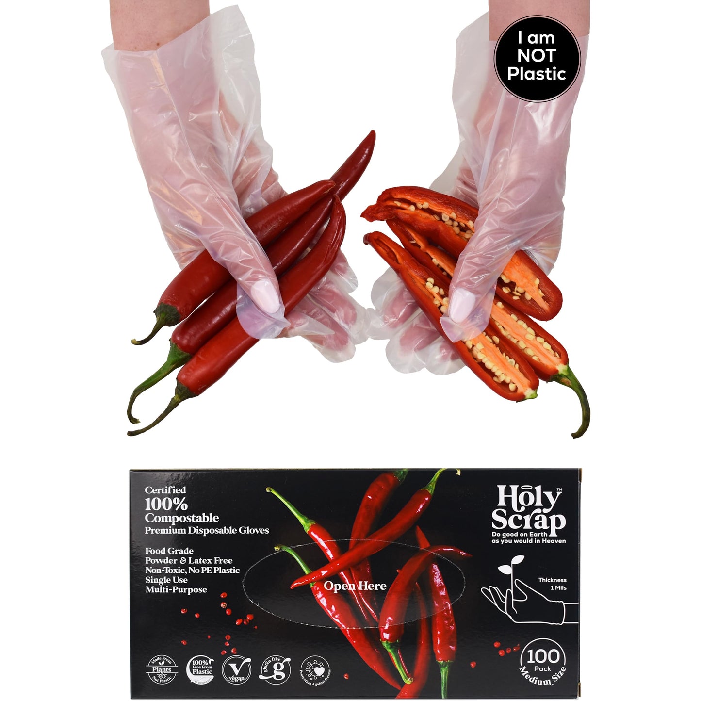 HOLY SCRAP! 100% Compostable Gloves MEDIUM - 100 Pack - Disposable Powder and Latex Free Gloves for Food Preparation, Cooking, Cleaning, Non-Toxic, Eco Friendly - BPI Certified, OK Compost Home